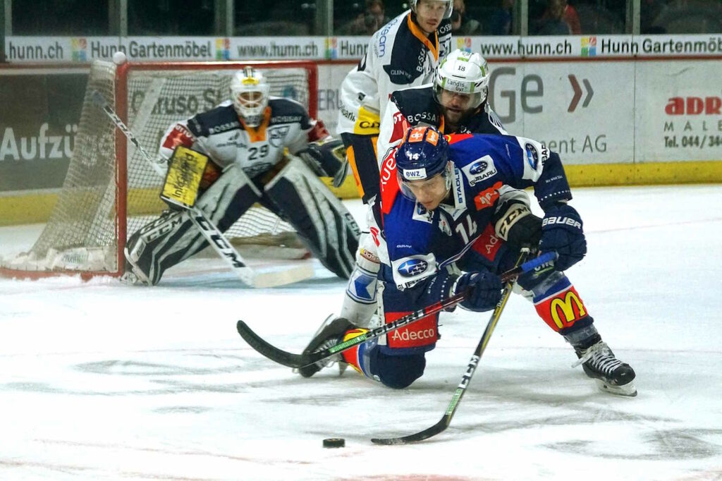 eishockey schiedsrichter aufgaben