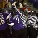 eishockey schiedsrichter linesmen