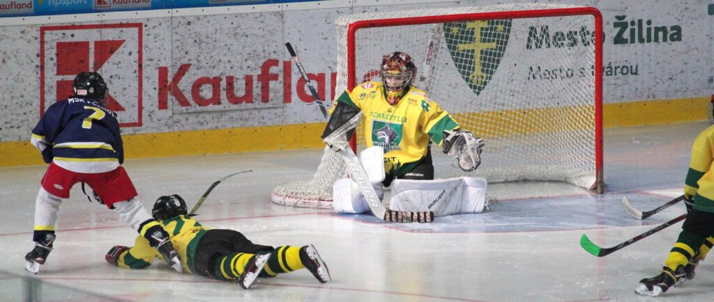 eishockey safe health