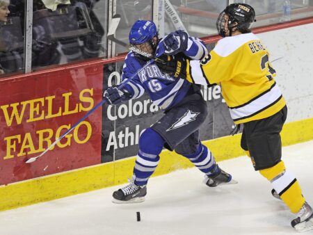 Gesundheit und Sicherheit im Eishockey