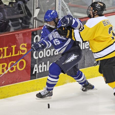 Gesundheit und Sicherheit im Eishockey